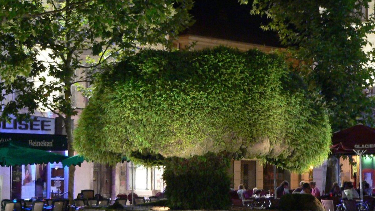 La fontaine moussue, à Salon-de-Provence
